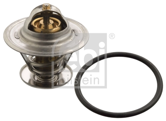 Thermostat, coolant